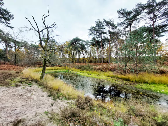 ten westen van de Leijkoelsveldweg