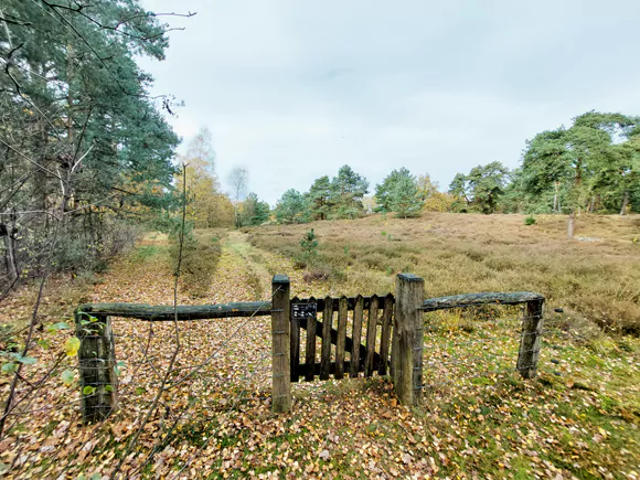 ten zuiden van de Hasselderweg