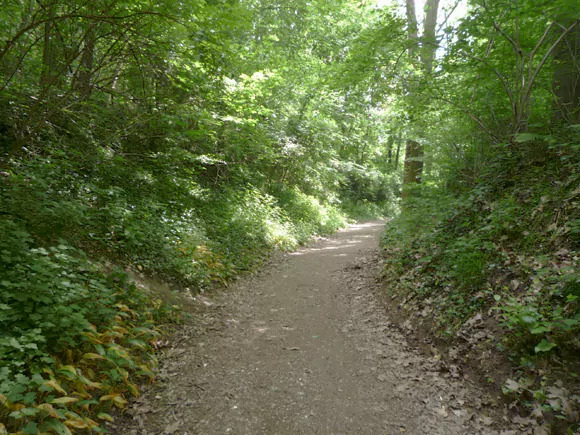 Cauberg