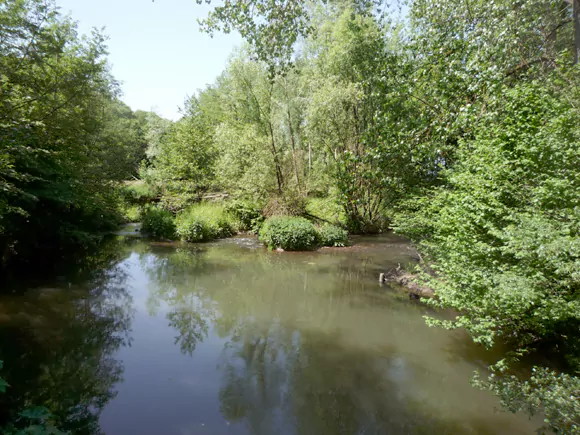 de Geul bij Broekhem