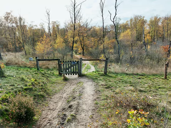 ten noorden van de Trappenberg