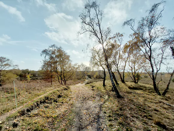 tussen Pikmeeuwenwater en Trappenberg