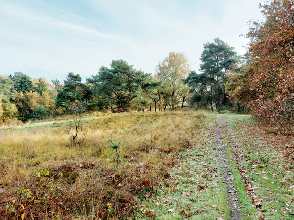 ten noorden van de Dikkenberg