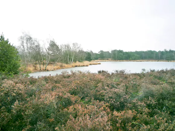 de Malpie met het Groot Malpieven