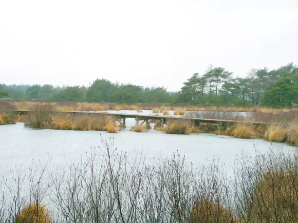 het Groot Malpieven met wandelbrug