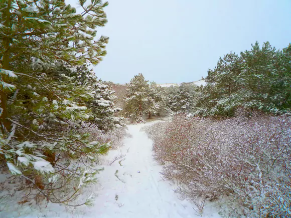 Egmond, ten westen van de Lageweg