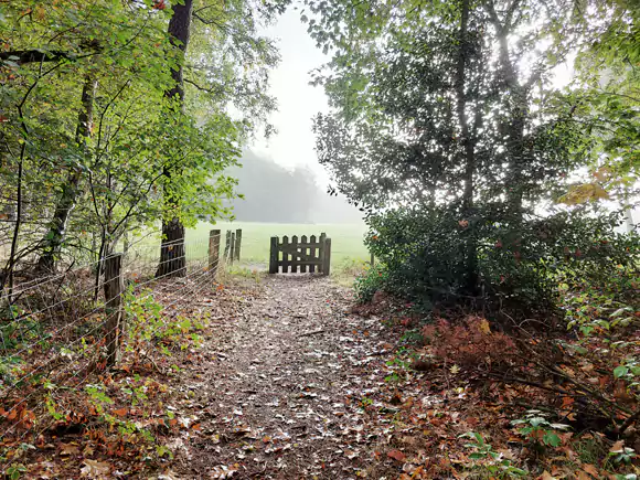 ten noorden van 't Maatveld