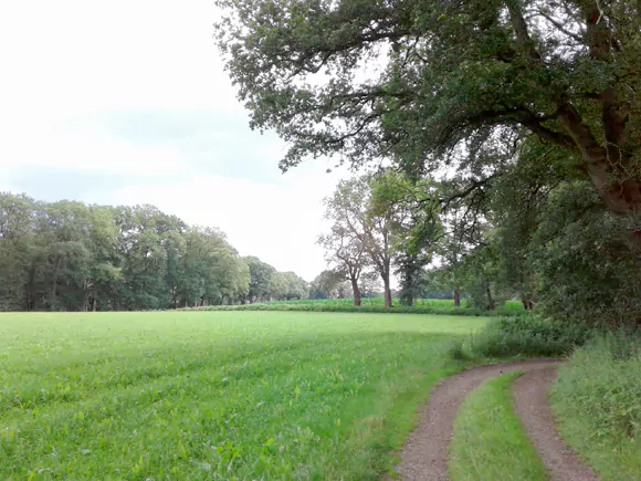 Deldeneresch ten noorden van de Eschweg