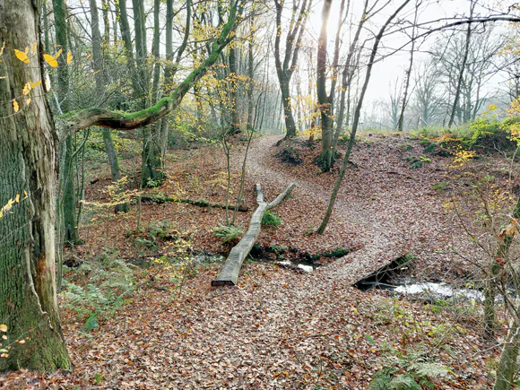 Duits-Nederlandse grens, Eendenbeek
