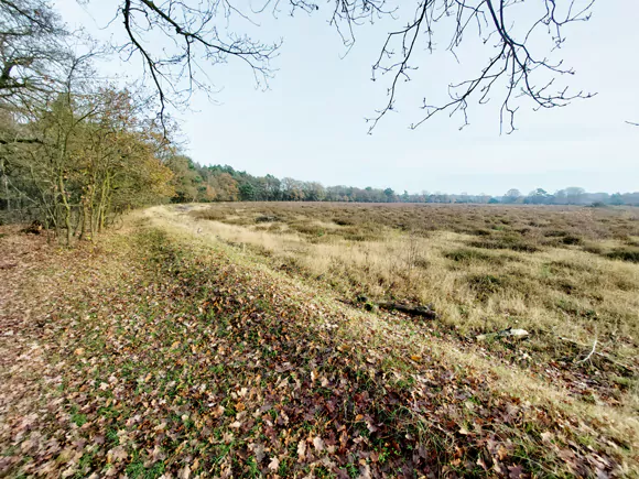 Mander, cirkels van Jannink