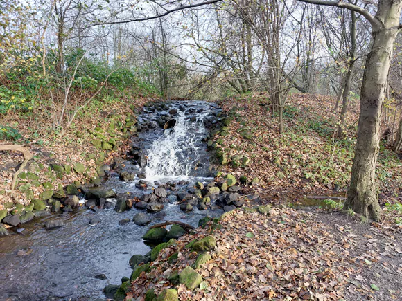 Mander, de Bosbeek langs de Bergweg