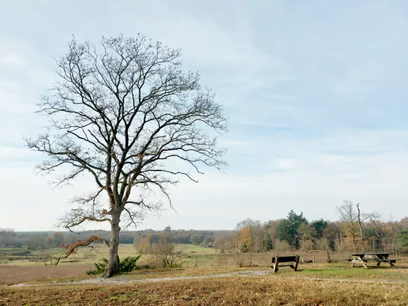 Mander, Galgenberg (69m)