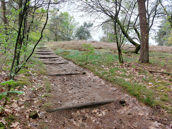 Friezenberg (40m.)