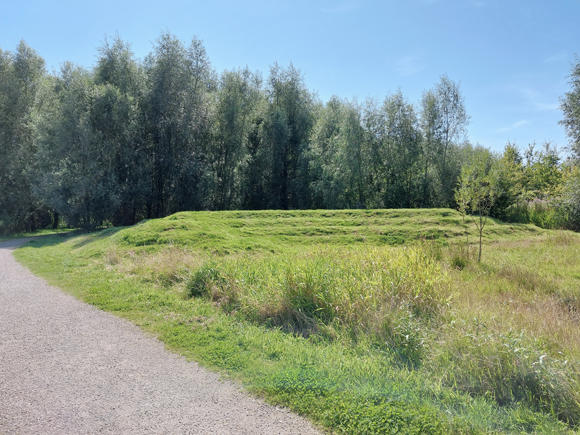 Amfitheater in het Avatarbos