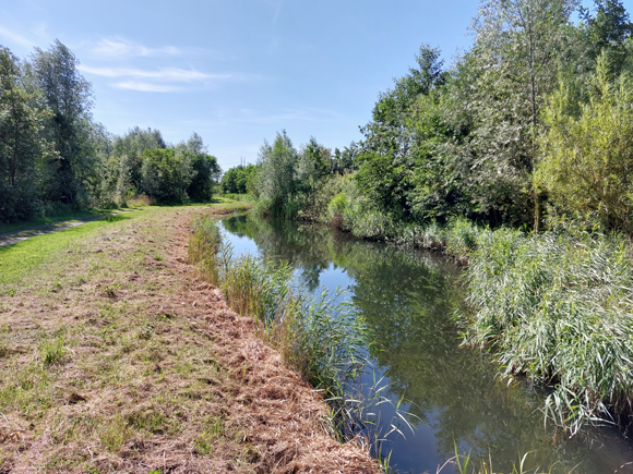 pad door de golfbaan